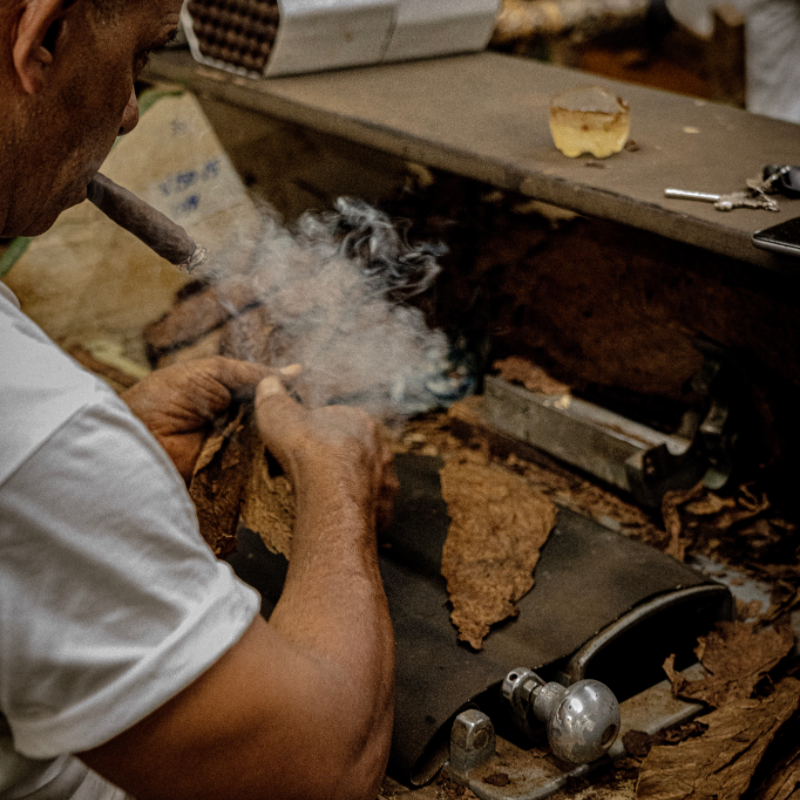 Craftsman's Hands & Cigar Binder Close-Up - Aurea Montana Reserva's Artisanal Touch 奥瑞山谷雪茄手工匠心：多米尼加匠人手部与雪茄内芯特写